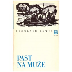 Lewis, S.: Past na muže