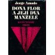 Amado, J.: Dona Flor a její dva manželé