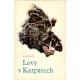 Komárek, J.: Lovy v Karpatech 