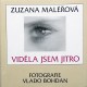 Maléřová, Z.: Viděla jsem jitro