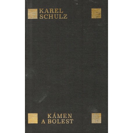 Schilz, K.: Kámen a bolest 