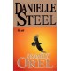 Steel, D.: Osamělý orel