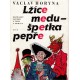 Horyna, V.: Lžíce medu-špetka pepře