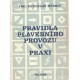 Němec, M.: Pravidla plavebního provozu v praxi
