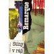 Remarque, E. M.: Stíny v ráji