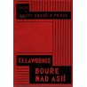 Lawrence, T. E.: Bouře nad Asií