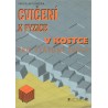 Vondra, M.: Cvičení k fyzice v kostce