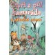 Friedrich, J.: Čtyři a půl kamaráda a záhadná nemoc