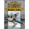 Steinhoff, J.: Mesinská silnice