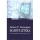 Dunnigan J.: Bojiště zítřka