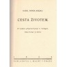 Mácha, K. H.: Cesta životem