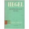 Hegel, G. W. F.: Fenomenologie ducha