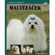Cunliffeová, J.: Maltézáček