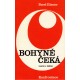 Eisner, P.: Bohyně čeká. Traktát o češtině