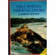 Orlí hnízdo z pohledu historie