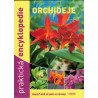 Ježek, Z.: Orchideje