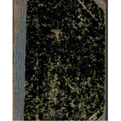 Kollár, J.: Slávy dcera