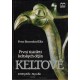 Berresford Ellis, P.: Keltové. První tisíciletí keltských dějin