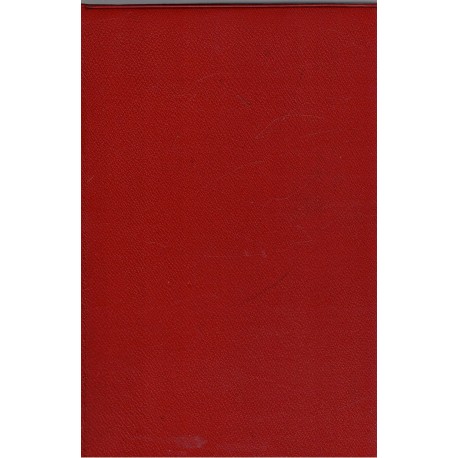 Ludwig, E.: Syn člověka. Život proroka