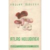 Melzer, V.: Atlas holubinek