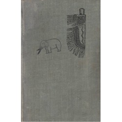 Foglar, J.: Kronika ztracené stopy