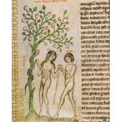 Spunar, P.: Kultura českého středověku