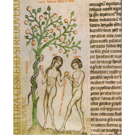 Spunar, P.: Kultura českého středověku