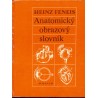 Feneis, H.: Anatomický obrazový slovník
