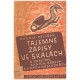 Pelíšek, R.: Tajemné zápisy ve skalách. O dracích, saních, obrech a jiných nestvůrách