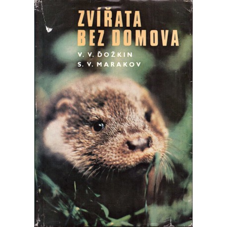Ďožkin, V. V., Marakov, S. V.: Zvířata bez domova