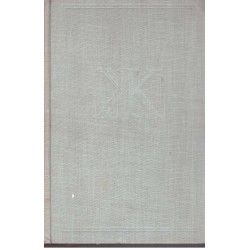 Neruda, J.: Česká společnost II